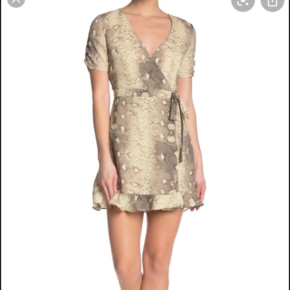 NWT wild honey dress - Picture 8 of 8